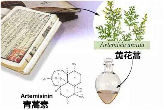 中欧注册网(中国区)首页,：向中医药看齐，与世界共享中医药文化(图1)