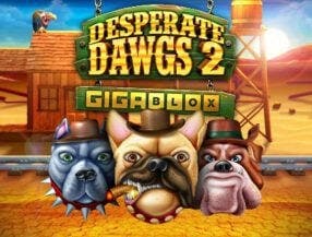 bet slot casino