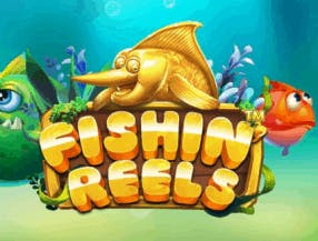 slot and bingo sites